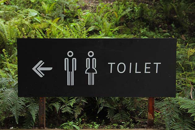 Lack of Bathroom Rules in Paris