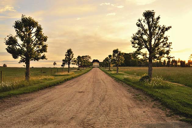 Country Road, Take Me Home
