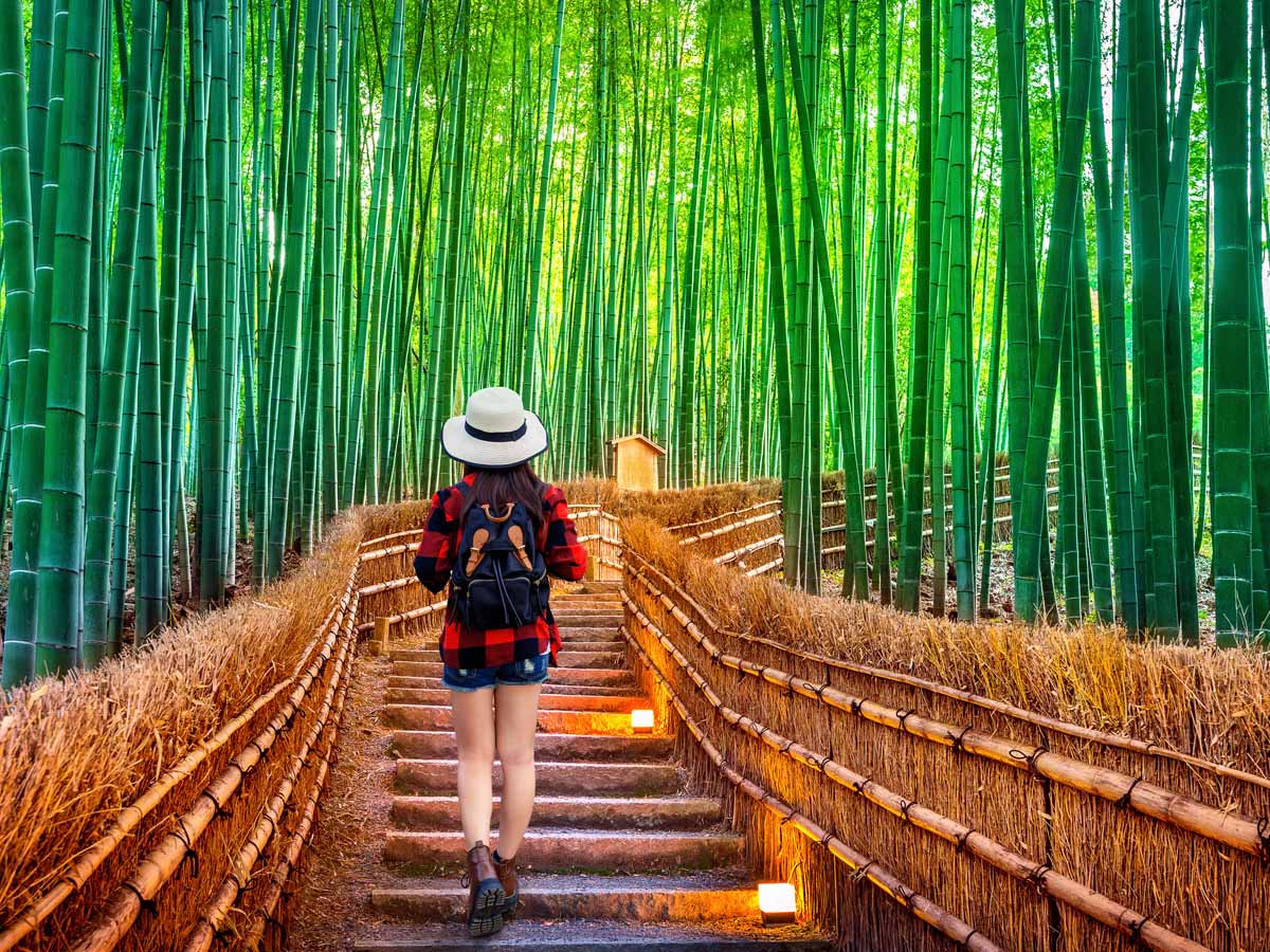 24. Arashiyama Bamboo Grove
