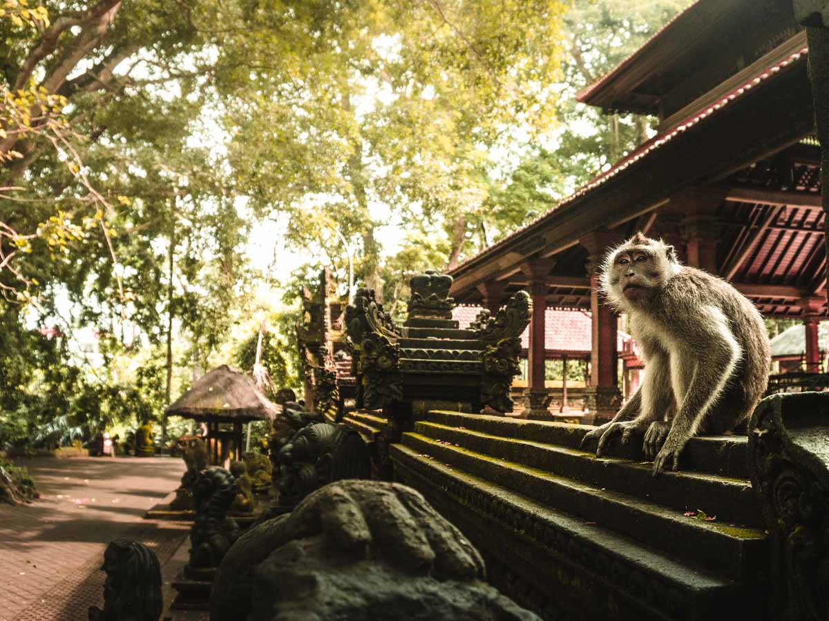 27. Sacred Monkey Forest of Bali