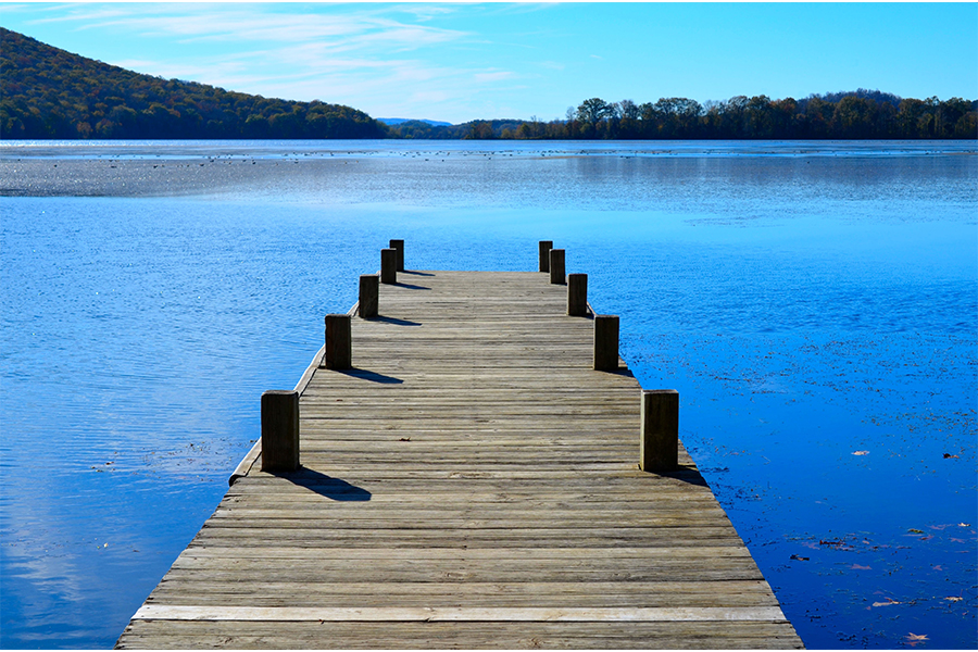 Open Water