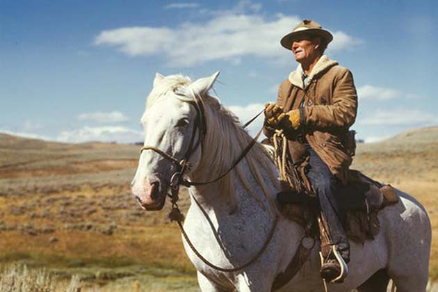 Cowboys