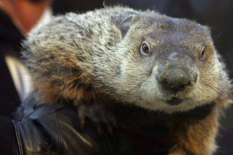 Groundhog Day