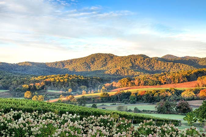Virginia — Best
