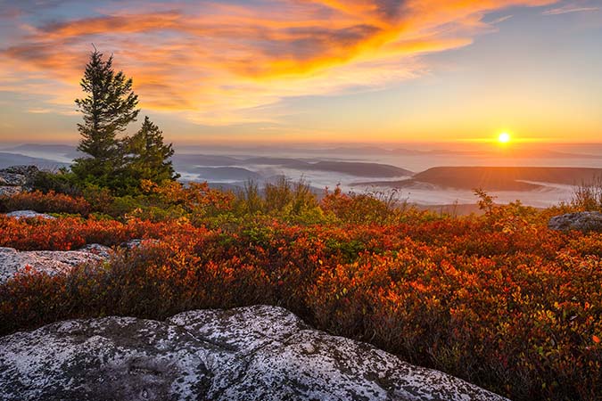 West Virginia — Worst