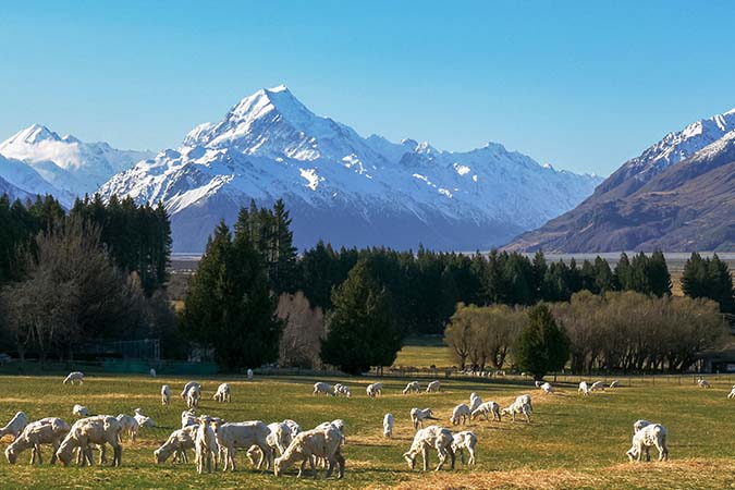New Zealand - Pros