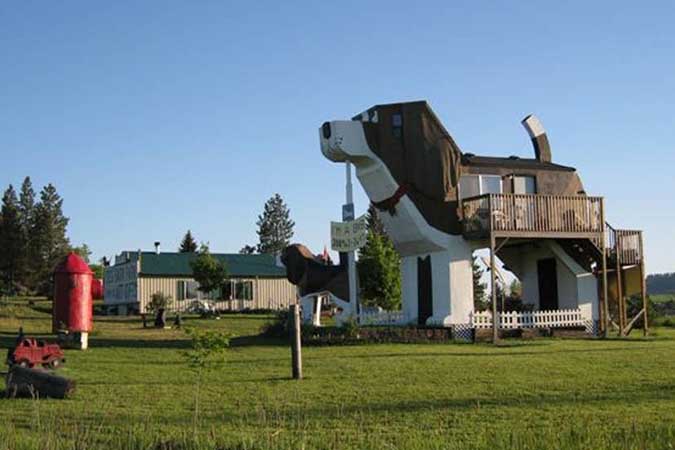 Idaho's Canine Condo