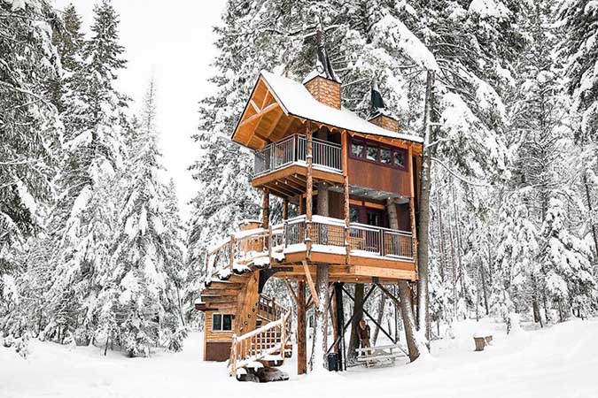 Montana's Epic Tree House