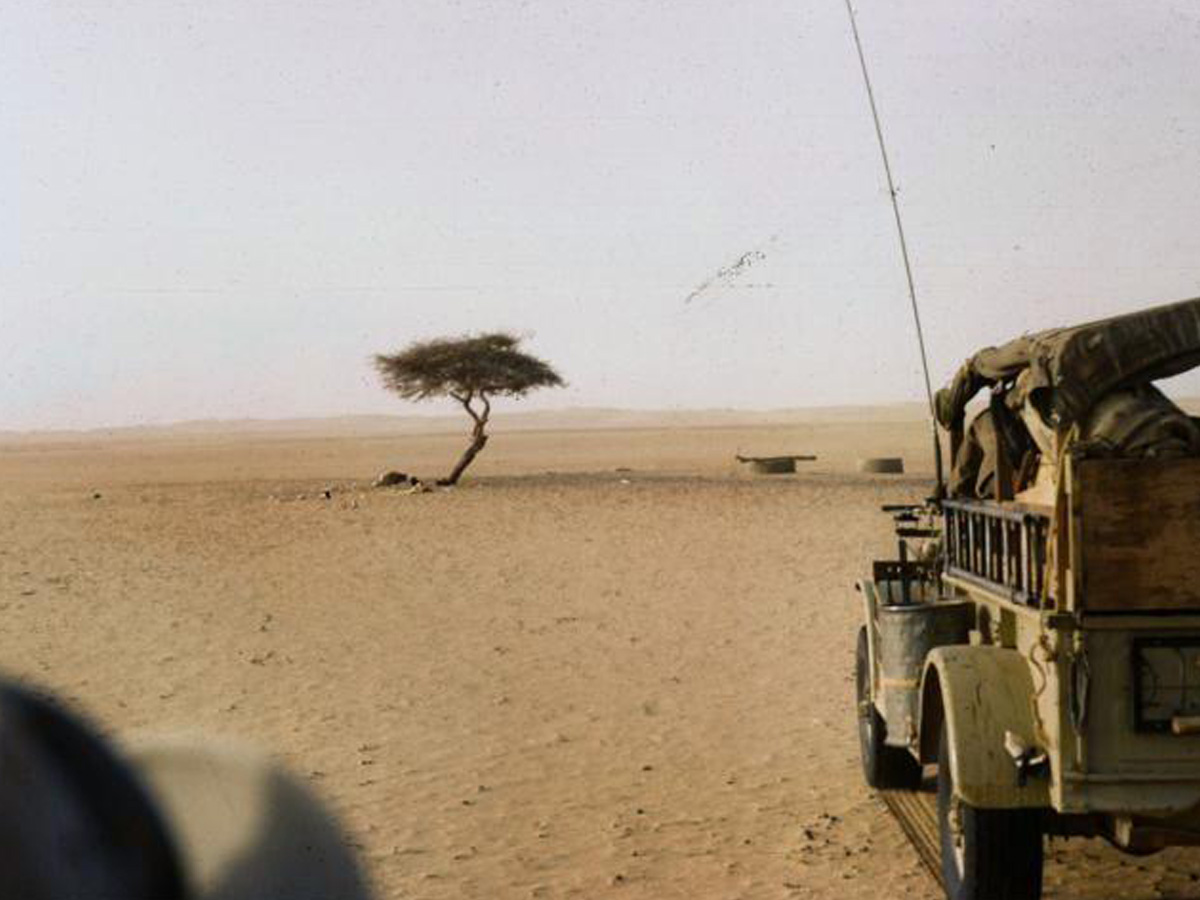 The Ténéré Tree, Niger
