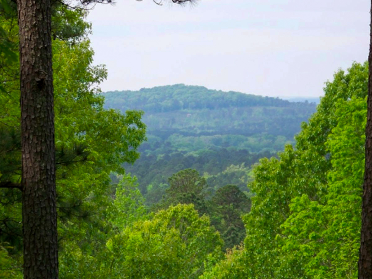 Louisiana - Driskill Mountain - 535ft