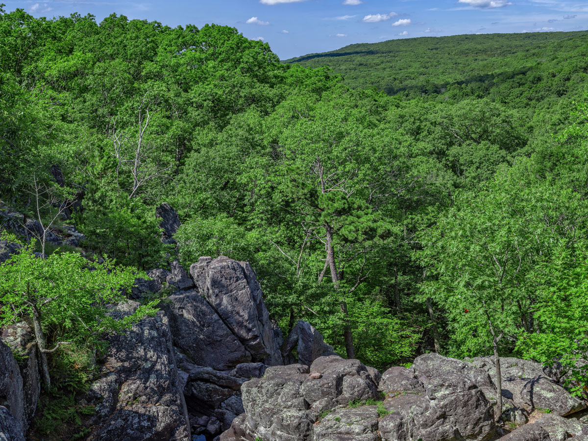 Missouri - Taum Sauk Mountain - 1,772ft