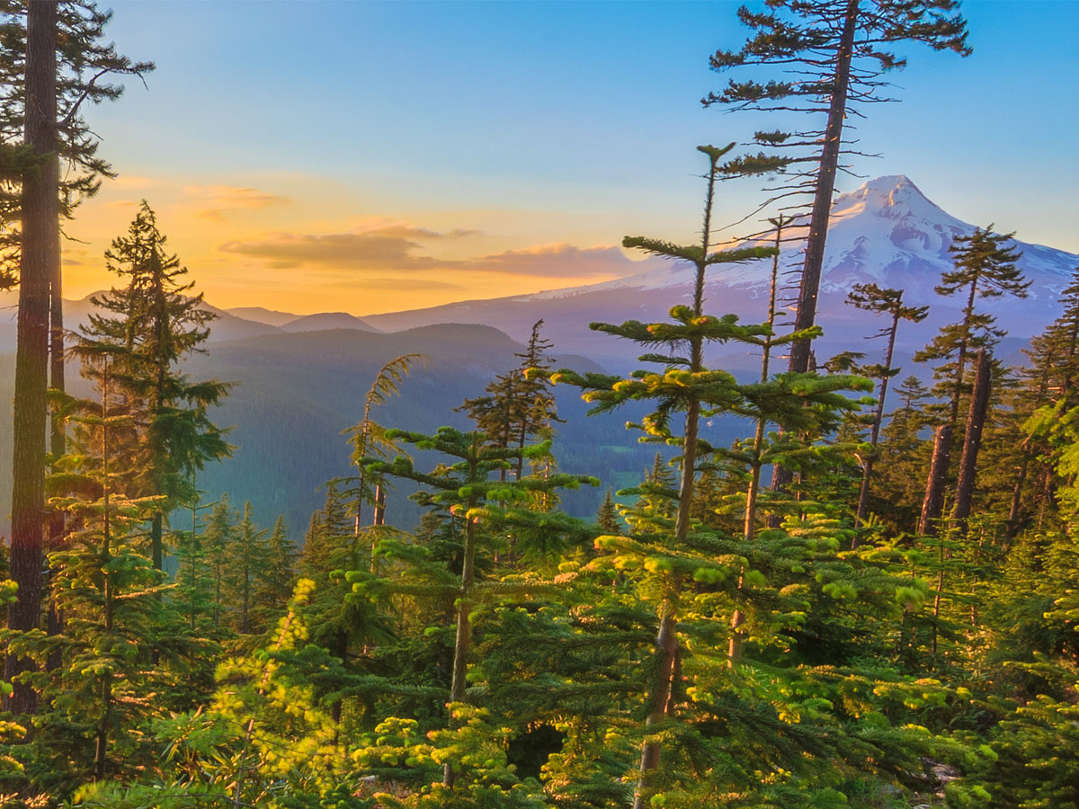 Oregon - Mount Hood - 11,239ft