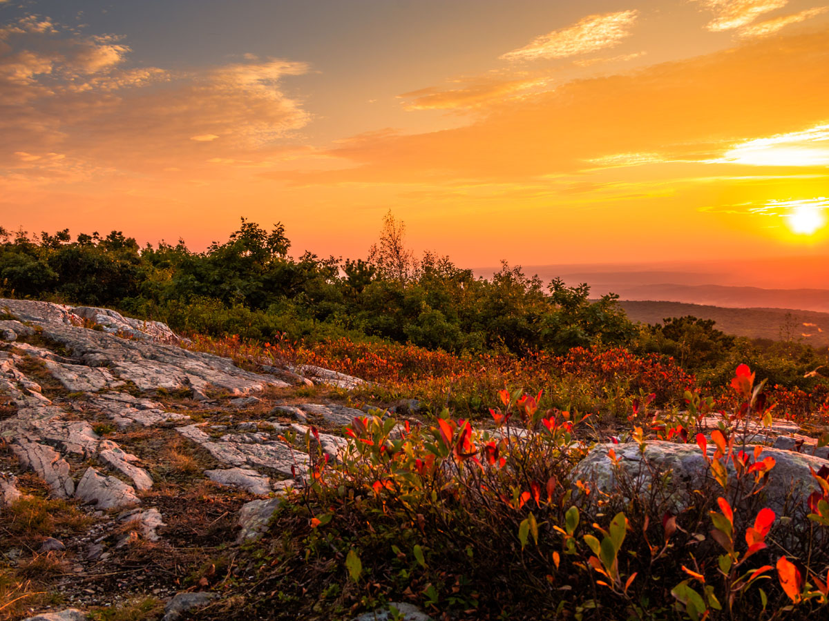 New Jersey - High Point - 1,803ft