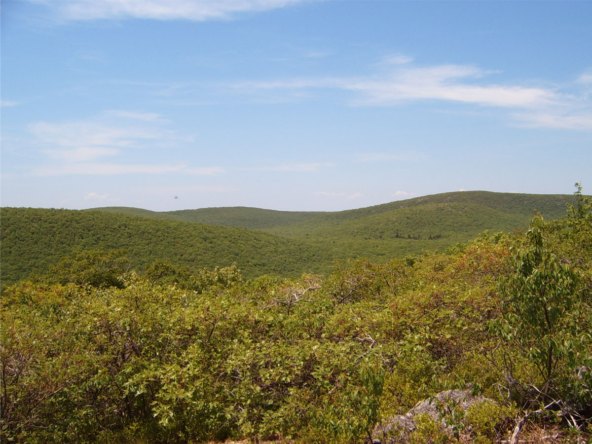 Connecticut - Mount Frissell - 2,380ft