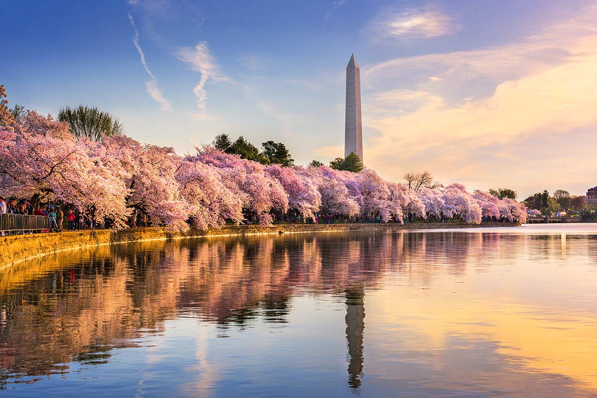 The Best: District of Columbia