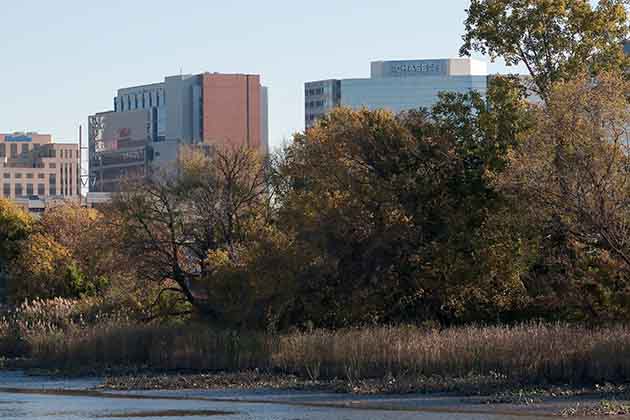 32. Wilmington, Delaware