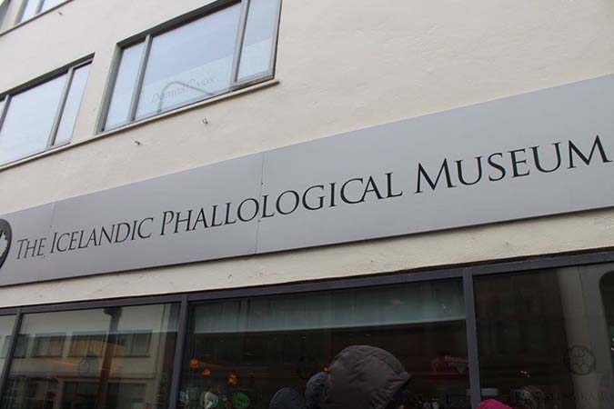 Icelandic Phallological Museum
