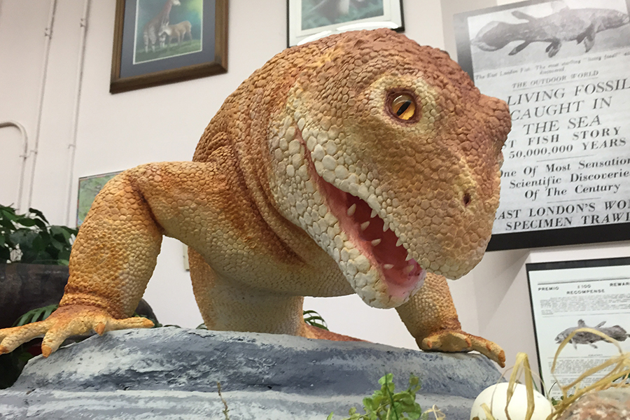 International Cryptozoology Museum